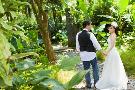 Свадебная церемония в Куала-Лумпуре "В тропическом раю"